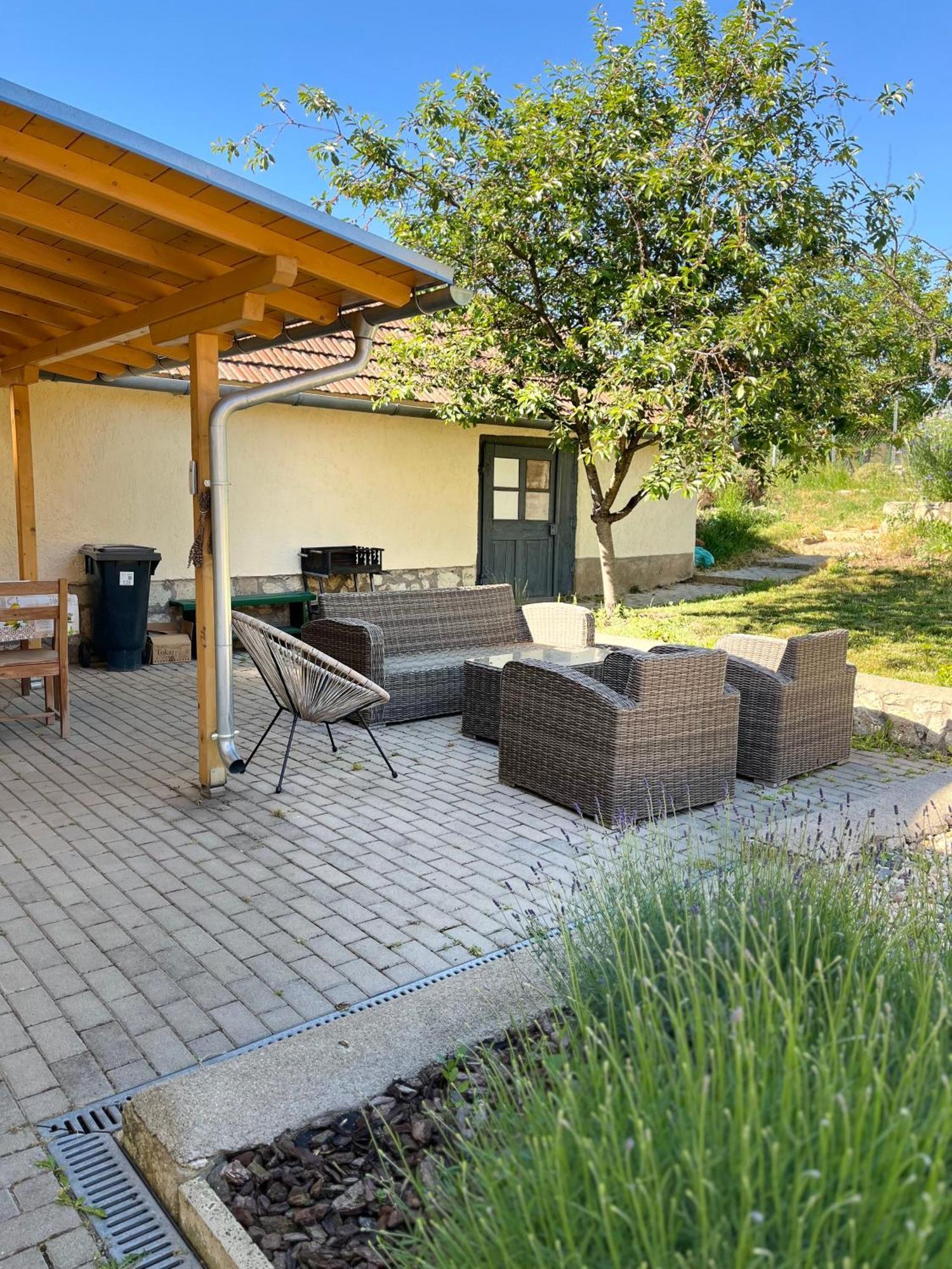 Ferienwohnung Angelina Vendeghaz Tarcal Exterior foto