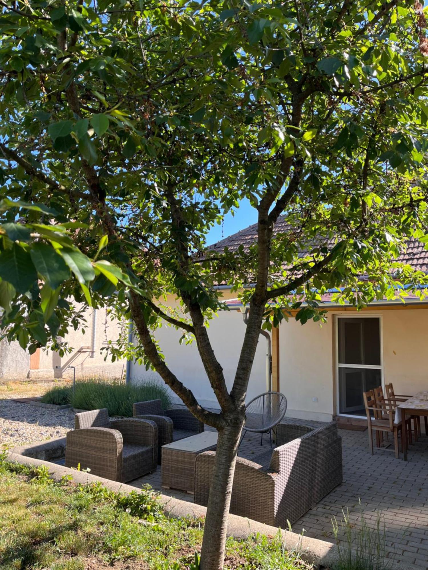 Ferienwohnung Angelina Vendeghaz Tarcal Exterior foto