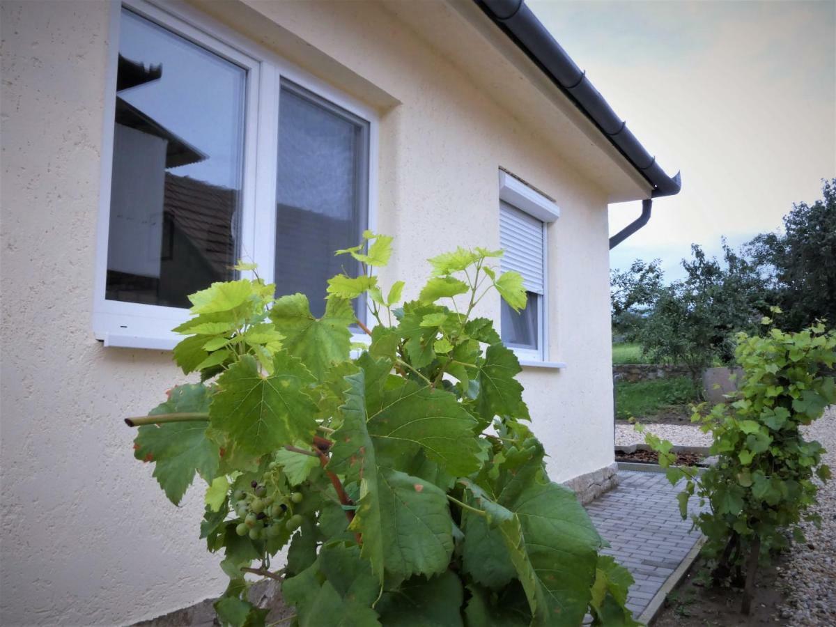 Ferienwohnung Angelina Vendeghaz Tarcal Exterior foto